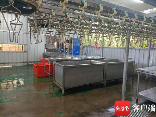 文昌推進(jìn)農(nóng)產(chǎn)品倉儲(chǔ)保鮮冷鏈設(shè)施建設(shè) 農(nóng)村合作社一年增效90萬